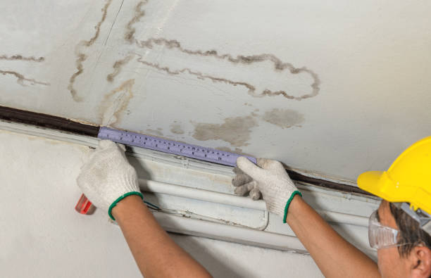 Reliable Structural Drying contractor in Perrinton, MI by Local Water Damage Repair